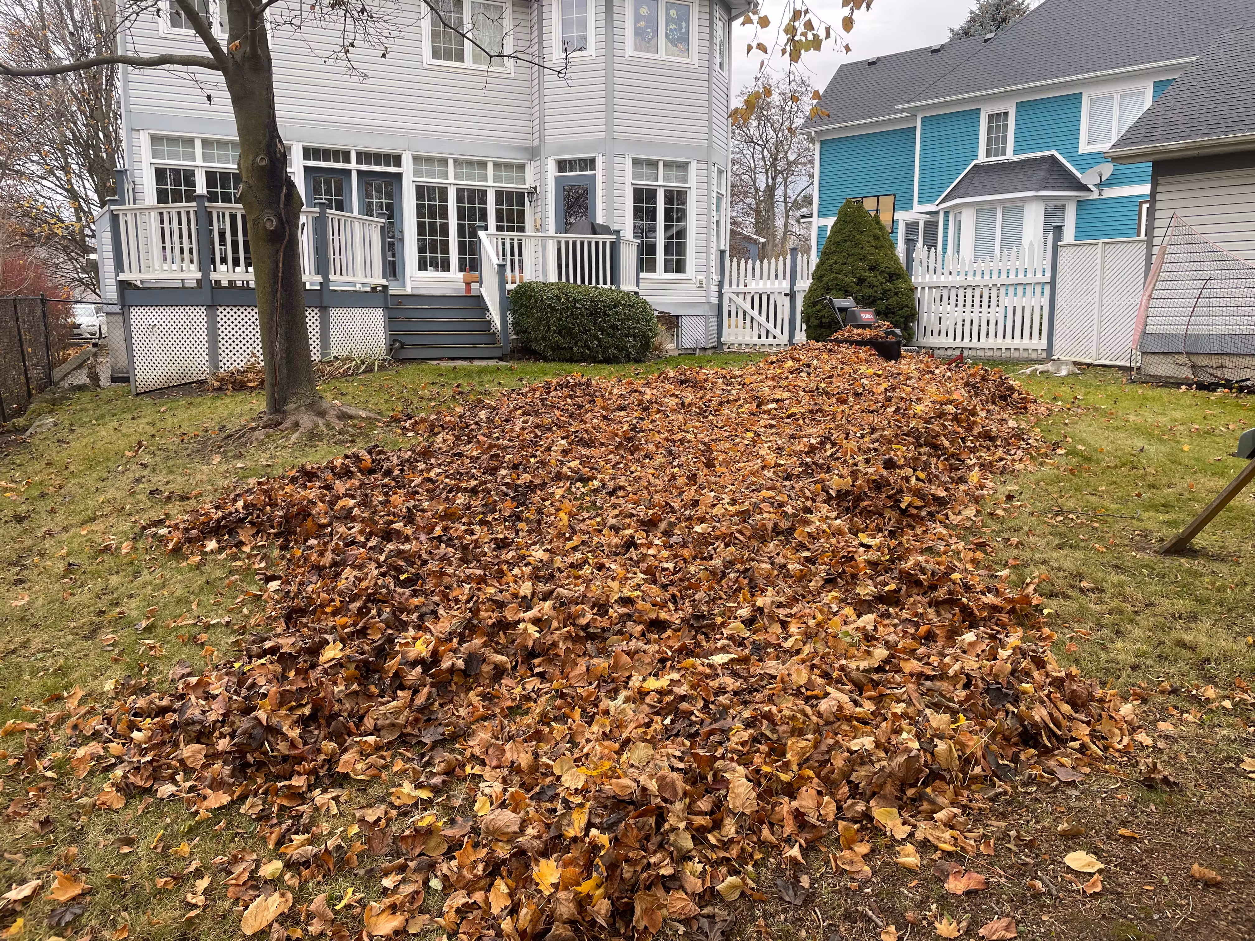Clean Ups